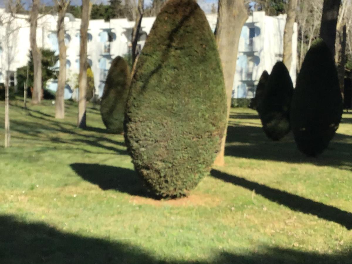 Apartamento T3 Les Peupliers Proche Pasino Et Mer La Grande-Motte Exterior foto